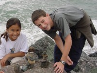 Harbor seal release day Aug 17, 2003