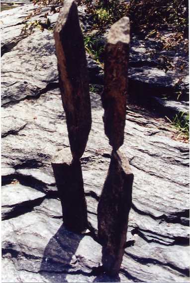 One of Bill's