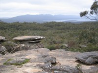 Lookout