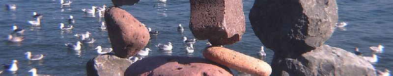 Bird balancing heading