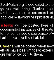 SealWatch.org is dedicated to the general well-being of harbor seals and to vigorous enforcement of applicable law for their protection. Alerts will be posted here of documented instances of continued disturbance or threats to harbor seal safety and habitat; Cheers will be posted when new efforts have been made to extend protection.